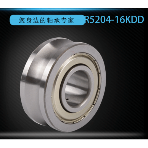 Double Row Angular Contact Ball Bearing