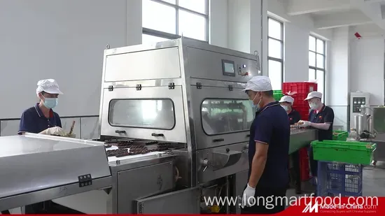 Whirl Chocolate Fiber Wheat Bar (Chocolate Taste)