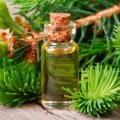 High concentrate white fir essential oil