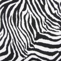Zebra Stripes DTY Brush Tkanina poliestrowa na koszulę