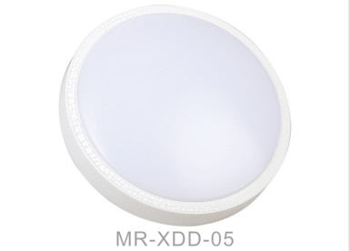 Energy Saving 9W Surface Mounted LED Ceiling Light (MR-XDD-230)