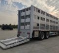 8x4 12 rodas Caixa de pecuária corpo de transporte de transporte refrigerado com equipamento de ventilação para cabras suínos Gabine