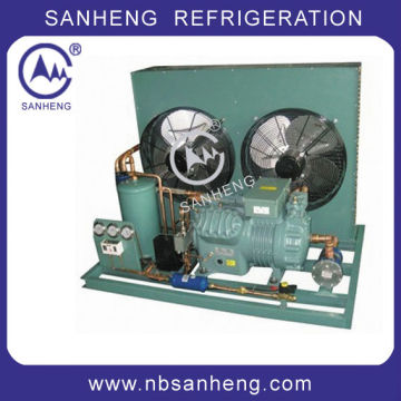 Bitzer Cold Room Condensing Unit (SH)
