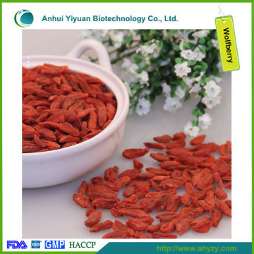 Dried Chinese Wolfberry Lycium Chinense for sale