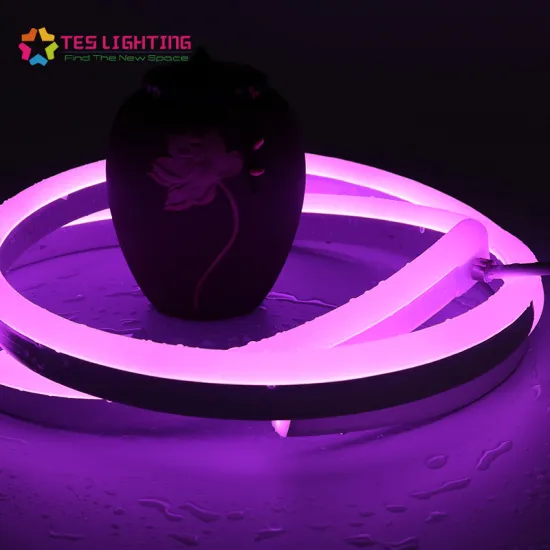 RGB 24V LED neon flexible Waterproof lights