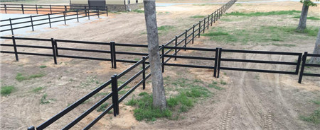 Horse Fence2