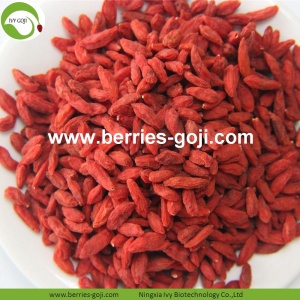 Factory Supply Fruit Dried Red Goji Berries