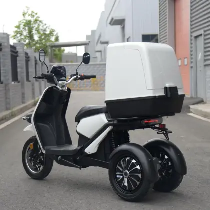 S3 Fat Tire Electric Tricycle