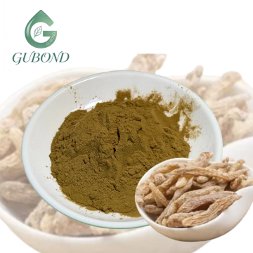 Gastrodia Elata Extract for Dietary Supplements