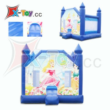 HOT Inflatable Princess Bounce House Castle for Sale