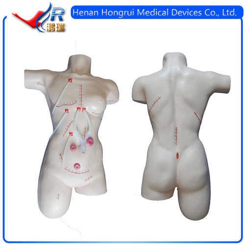 ISO Advanced Surgical Suturing and Bandaging Training Wound Care Treatment Model