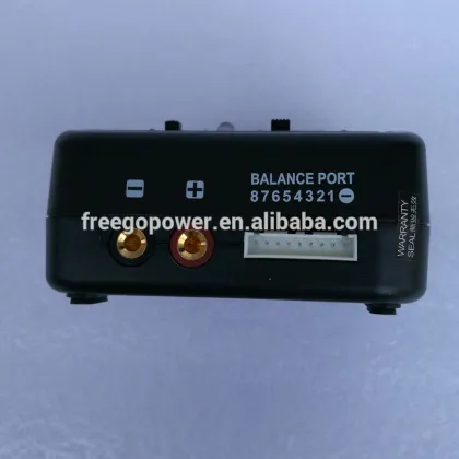 smart charger balance charger