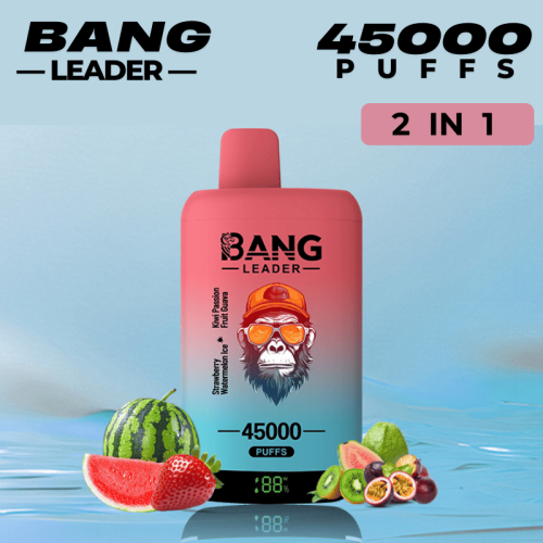 Best Disposable Pod Brands Bang Vape Leader 45k Puff