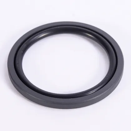 Professional Design Hydraulic Piston Compact Seal