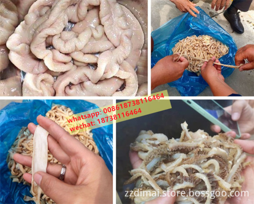 Intestine Cleaning and Processing Equipment: Lamb Tripe, Duck, and Chicken