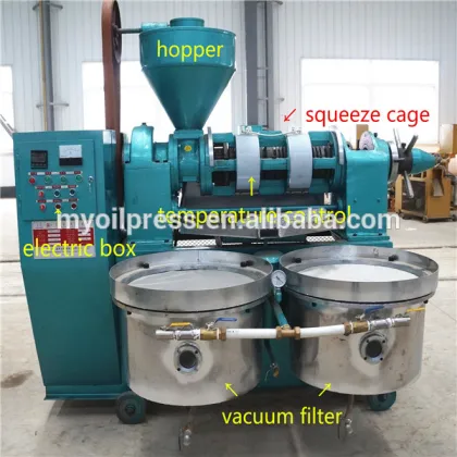 for small business mustard oil press machine