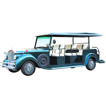 China CE Approved Classic Luxurious LSV Bubble Car in New Condition