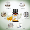 Organic natural moisturizing and relaxing Arnica Herbal oils wholesale therapeutic grade Oil for hair care at bulk price