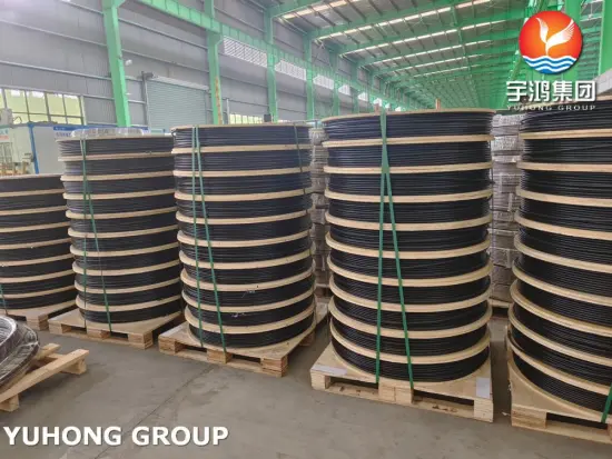 PVC Sheathed Stainless Steel Seamless Multicore Coil Tube