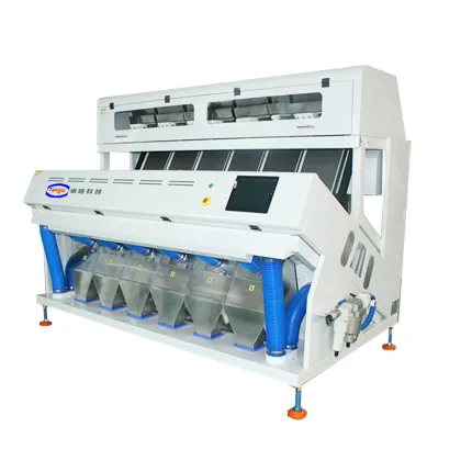 High Capacity Raisin Color Sorter: Raisin Sorting Grading Machine for Dry Fruit Processing