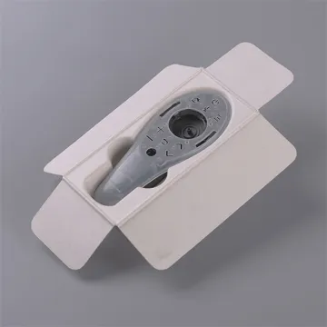 Custom bio degradable bagasse pulp mould packaging insert