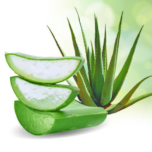 aloe-vera-leaves