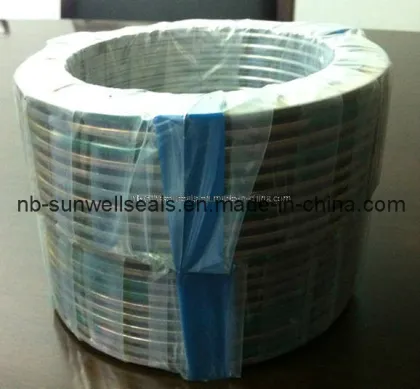 Spiral Wound Gaskets, Gaskets (sunwell)