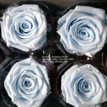 Breathtaking Maybelline Eternal Rose Lipstick Prices for DIY Wreath All Year Round