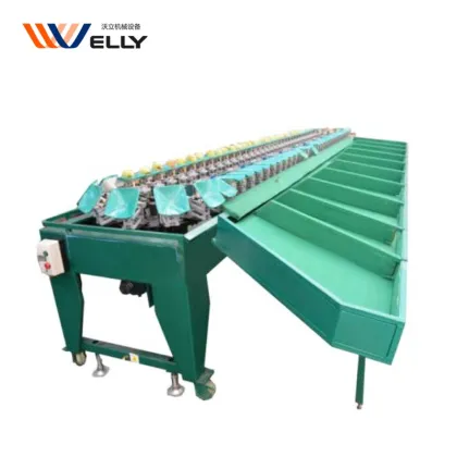 Professional Pitaya Dragon Fruit Sorting Machine & Durian Grading Equipment for Fruits and Seafood