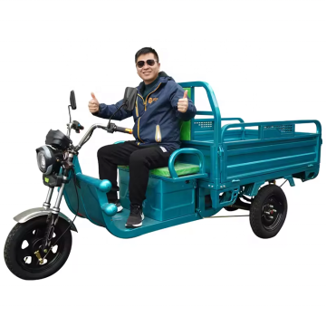 US/EU Warehouse: Instock Cargo Electric Tricycles - ผลิตในประเทศจีนหลายสีสแตนเลส 3 ล้อ