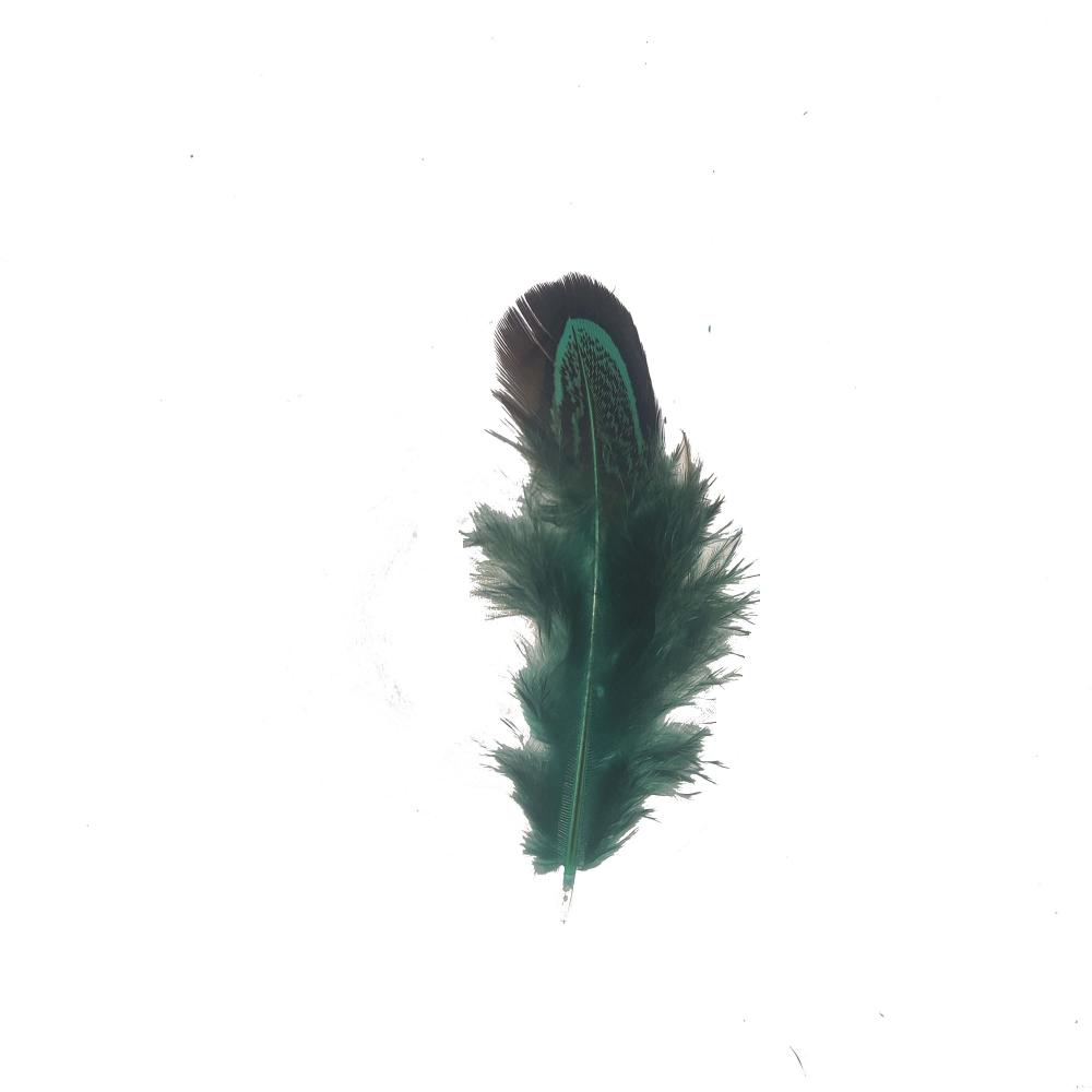 Green Feather