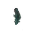 Hot Sale Dyed Pheasant Feather