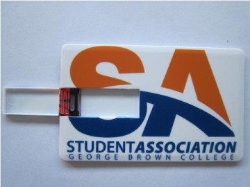 Full Color Printing Plastic Credit Card with The Cheapest Price