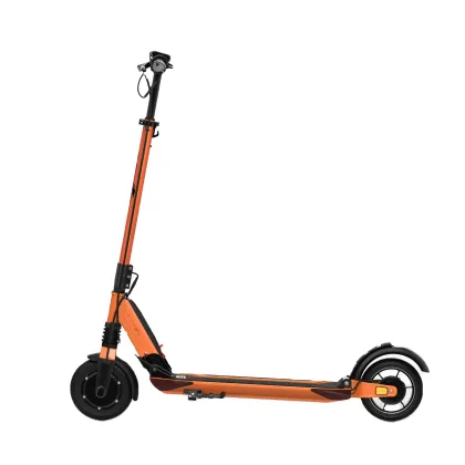 Best Electric Scooters: E-TWOW 500W 2-Wheel Scooter for Adults