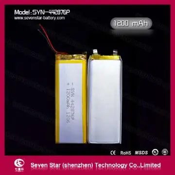 Polymer Lithium Batteries