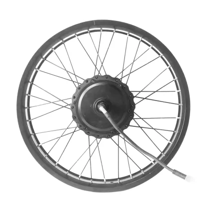 Electric Bike Snow Conversion Kit