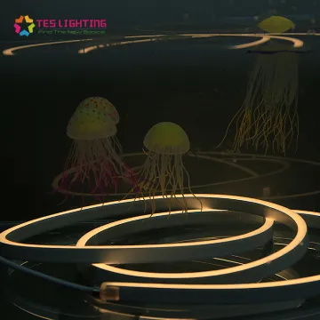 outdoor 12v led strip neon lighting