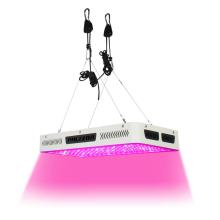 Large Capacity LED Grow Light for Plant Growing