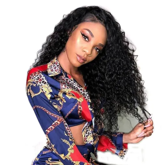 HD Lace Full Virgin Brazilian Human Hair Wigs Transparent Lace Front Human Hair Wigs for Black Women