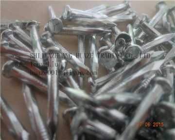 galvanized steel concrete nail thumb brand