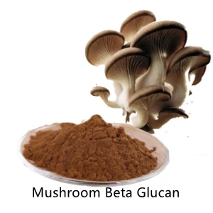 Mushroom Beta Glucan