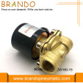 220V AC 2W160-15 Solenoid Vanalar