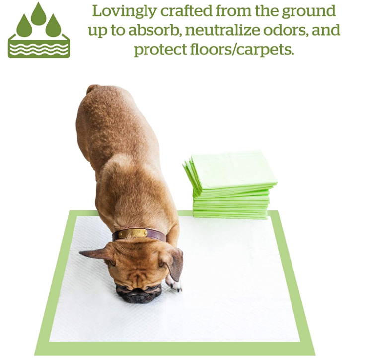 Earth-Friendly Puppy Pee Pad