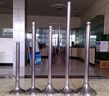 DAIHATSU DL28 Marine Diesel Engine Parts Engine Valves