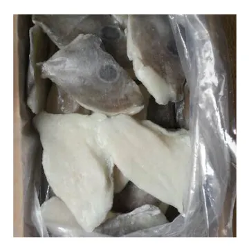 2021 New arrival frozen john dory fish fillets, china seafood frozen fresh john dory fish