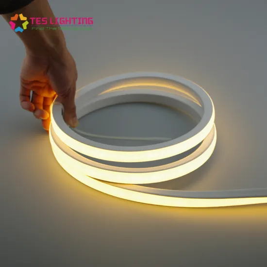 Waterproof IP68 Neon Lights 24V