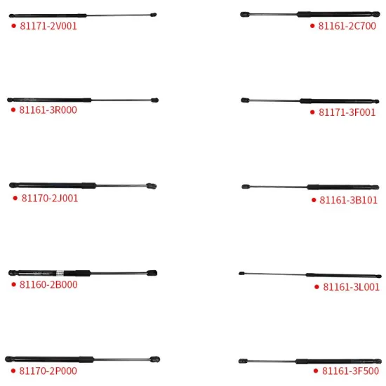 Hyundai Elantra, Sonata, Santa Fe, Kia Borrego Auto Parts: Focus on Front Hood Gas Lift Supports for Various Models