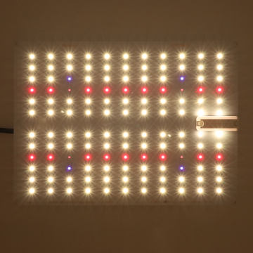 Kingbrite LED KB132 DIMMABLE GROW LIGHT 65W LM301HとEPISTAR 660NM UV IR