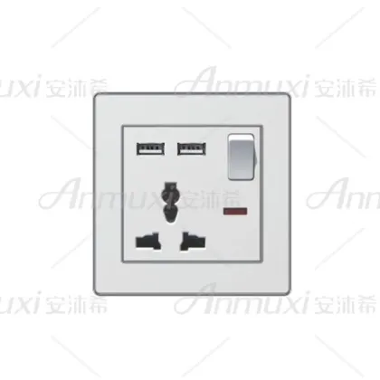 220V USB Wall Socket