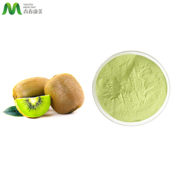 Good Taste Kiwi Fruit Juice Powder